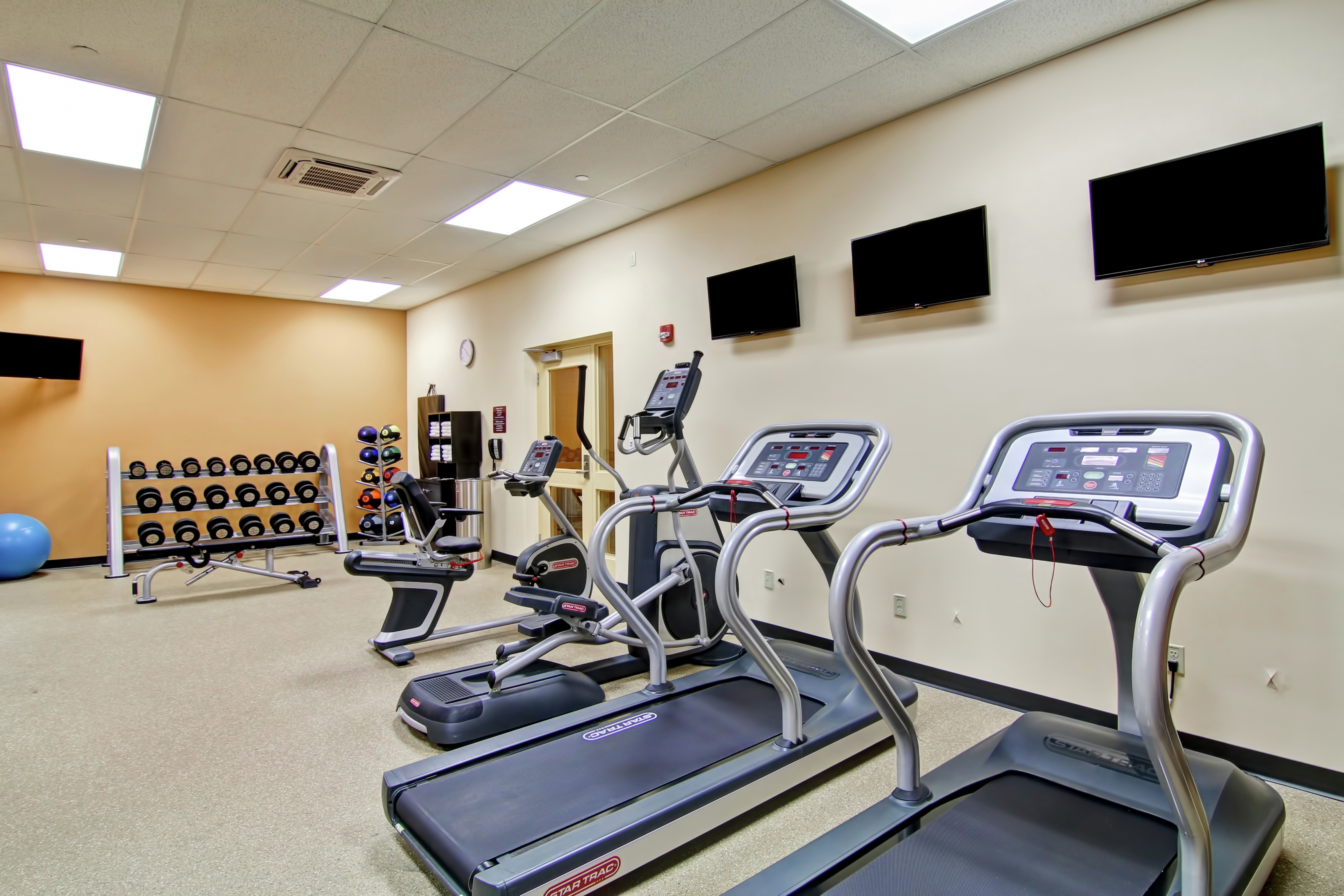 Lower Level Fitness Room With TVs, Weight Bench, Blue Stability Ball, Free Weights, Weight Balls, Water Cooler, Towel Station, and Cardio Equipment