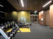 Fitness Center with Weights and Other Equipment