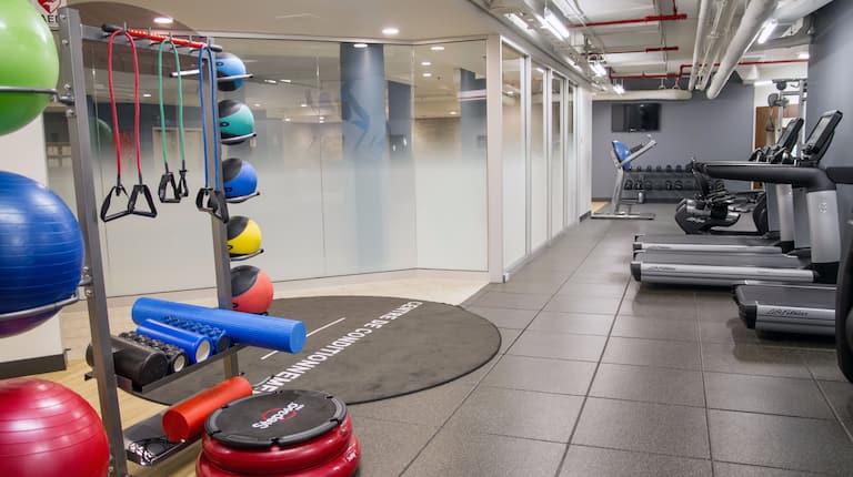 Fitness Center with Treadmills and Strength Training Equipment