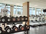 Fitness Centre Weights