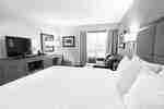 One King Bed Study with Sofabed Nonsmoking