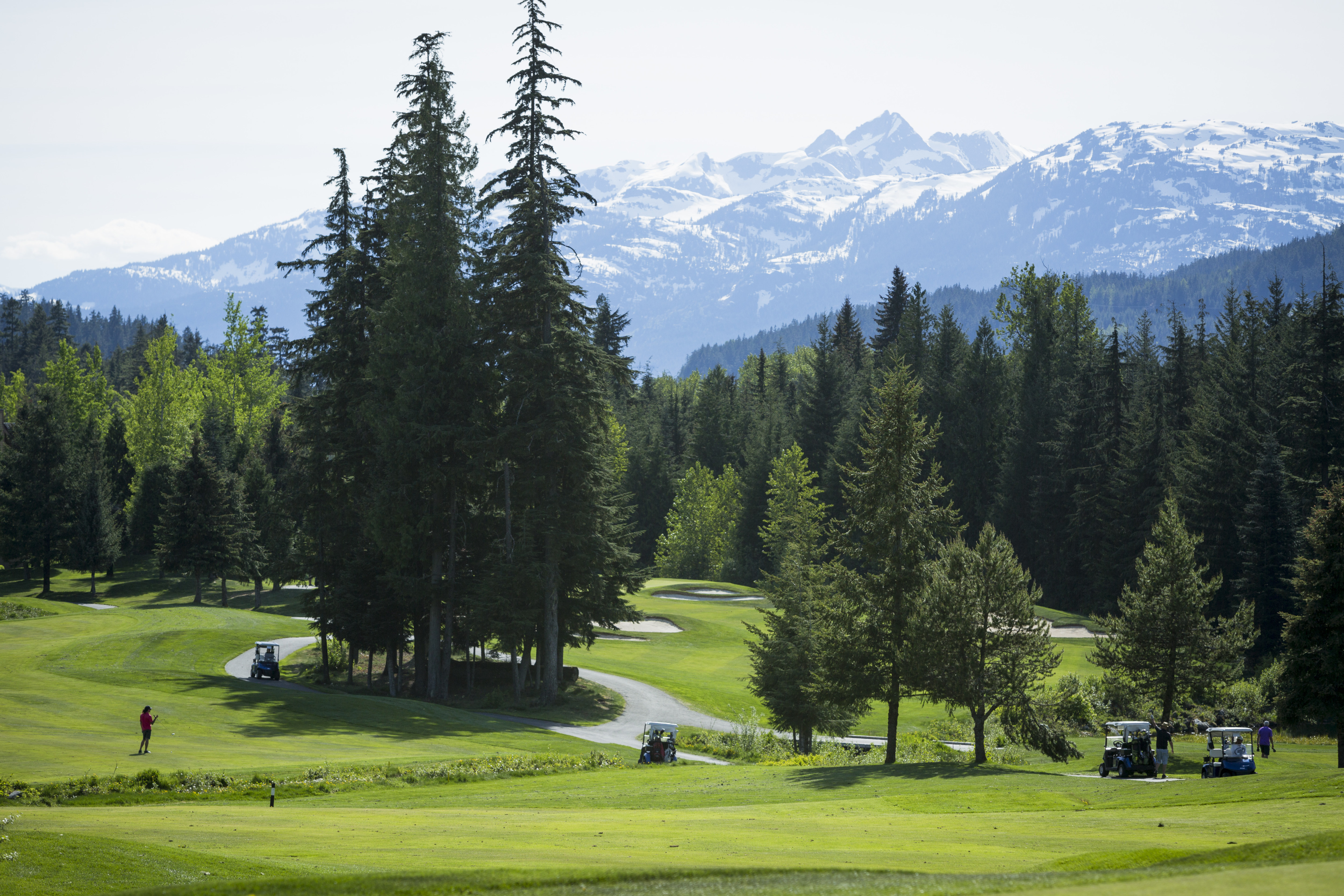 people playing golf amongst the trees and mountains 