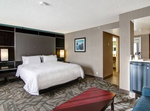 Hampton Inn and Suites by Hilton Calgary-Airport - Image3