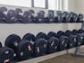 Weights in Fitness Center