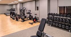 Fitness Center Weight Bench, Dumbbell Rack and Cardio Equipment