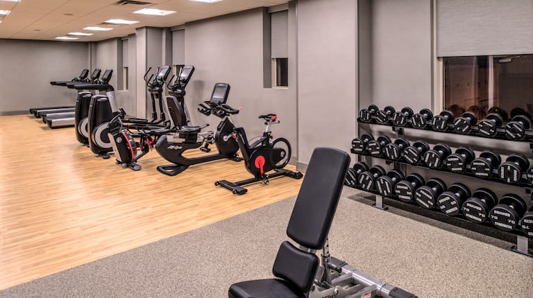 Fitness Center Weight Bench, Dumbbell Rack and Cardio Equipment